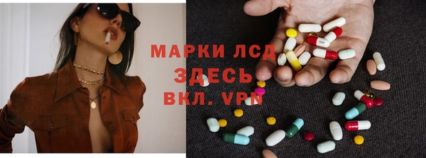 PSILOCYBIN Майский