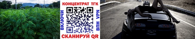 kraken онион  Таштагол  ТГК концентрат  наркота 